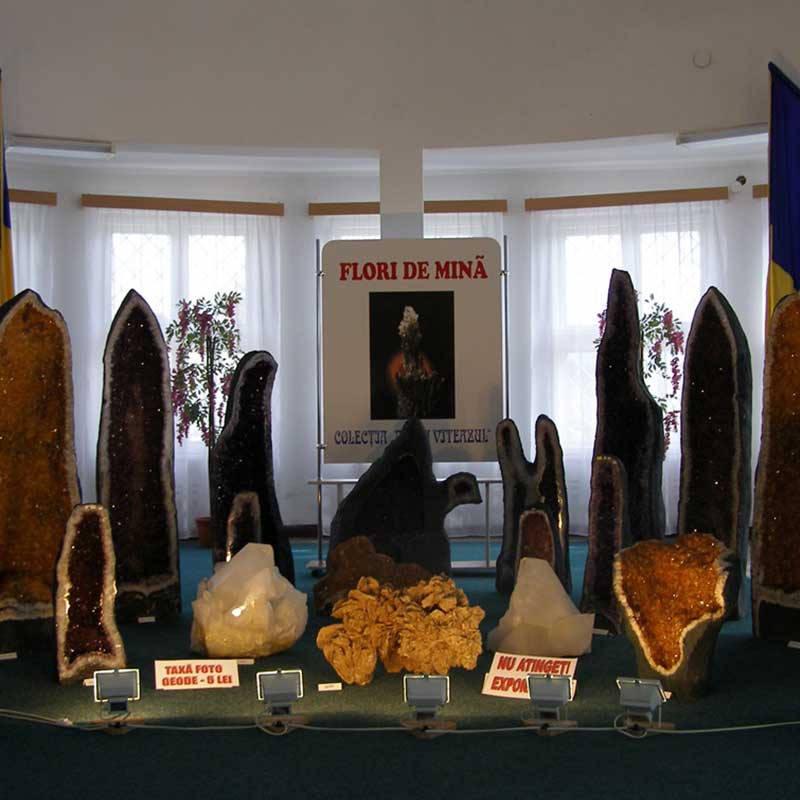 Muzeul Flori de Mină