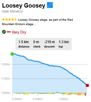 Traseu Trail Park: Loosey Goosey